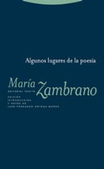 Algunos lugares de la poesía