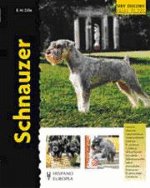 Schnauzer - 1
