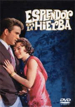 Esplendor en la hierba - DVD