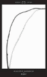 Mary_0