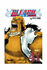 Bleach 41_0
