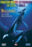 Ballenas - DVD_0
