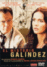 El misterio Galíndez - DVD_0