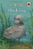 The Ugly Duckling_0