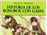 La historia de los Bonobos con gafas