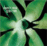 Exciter_0