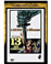 13 chicas aterrorizadas - DVD_0