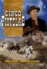 Cinco pistolas - DVD_0