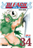 Bleach 34_0