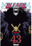 Bleach 43_0