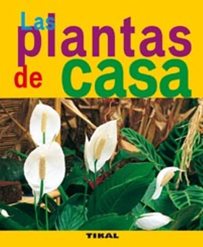 Tikal Las Plantas De Casa