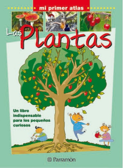 Una cámara