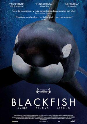 Blackfish (DVD)