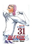 Bleach 31