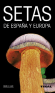 Setas de España y Europa