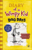 Diary of a Wimpy kid 3 Dog days_0