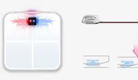 Diseñada al mínimo detalle