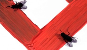 Una trama por resolver