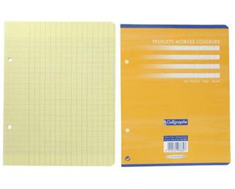 Etui 400 feuillets mobiles Clairefontaine Metric format A4 21 x 29,7 cm petits carreaux sur
