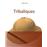 Tribaliques - ebook (ePub) - Henri Lopes - Achat ebook | fnac