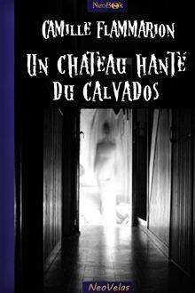 Neovelas Un Chateau Hante Du Calvados Camille Flammarion Ebook Epub Achat Ebook Fnac