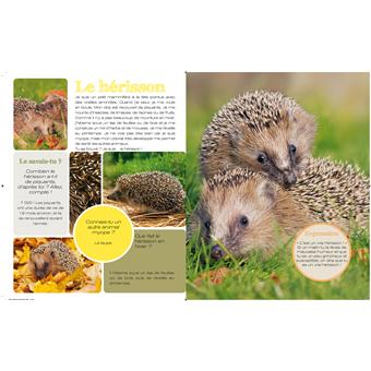 Je Découvre Les Animaux De La Forêt En Mamusant