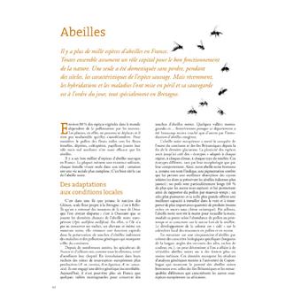 Dictionnaire de la nature en Bretagne