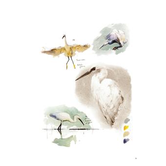 Dictionnaire de la nature en Bretagne