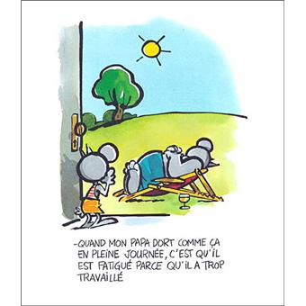 Le Fils Du Chat Les Vacances Philippe Geluck Cartonne