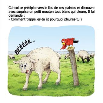 Bebert, le petit mouton blanc