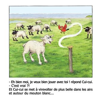 Bebert, le petit mouton blanc