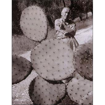 doisneau rencontre cendrars-éditions buchet-chastel