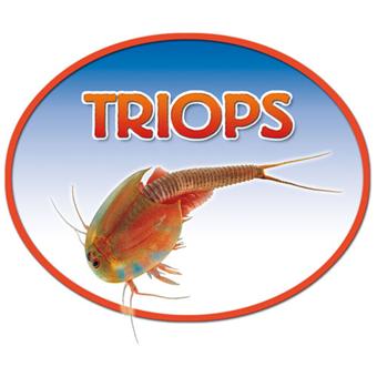 Triops (crustacé préhistorique)