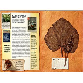 Lherbier Toxique - 