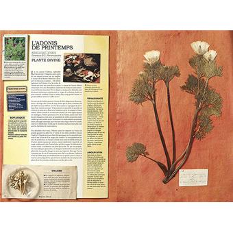 Lherbier Toxique - 