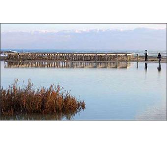 Un coeur en camargue