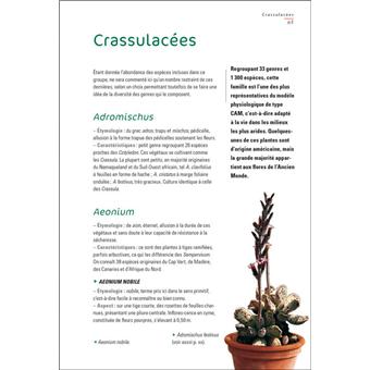 Choisir et cultiver cactus et plantes succulentes