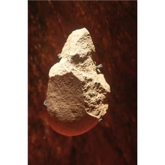 Toute l'histoire de Bretagne - des origines à la fin du XXe siècle