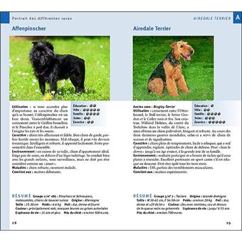 Chiens De Race De A à Z