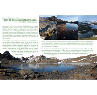 Entre les lignes du mont Thabor