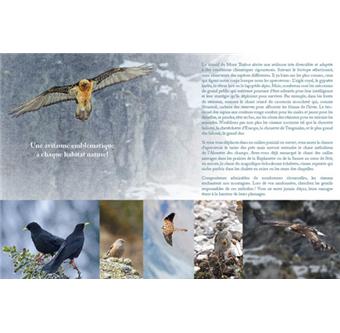 Entre les lignes du mont Thabor