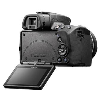 Sony Alpha SLT-A33 + Obj. Sony DT SAM 18 - 55 mm f/3.5 - 5.6