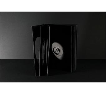 Void n° 01