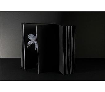 Void n° 01