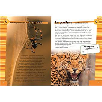 365 Histoires Insolites D Animaux Cartonne Sylvie Lehmann Achat Livre Fnac