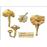Les champignons passent à table_2