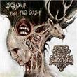 Scream From The East