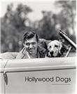 Hollywood Dogs
