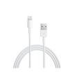 Câble Apple Lightning pour iPhone et iPod