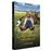 Alexandre le bienheureux DVD_0